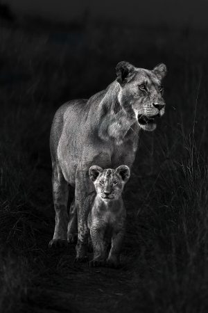 One Pose, Two Generations